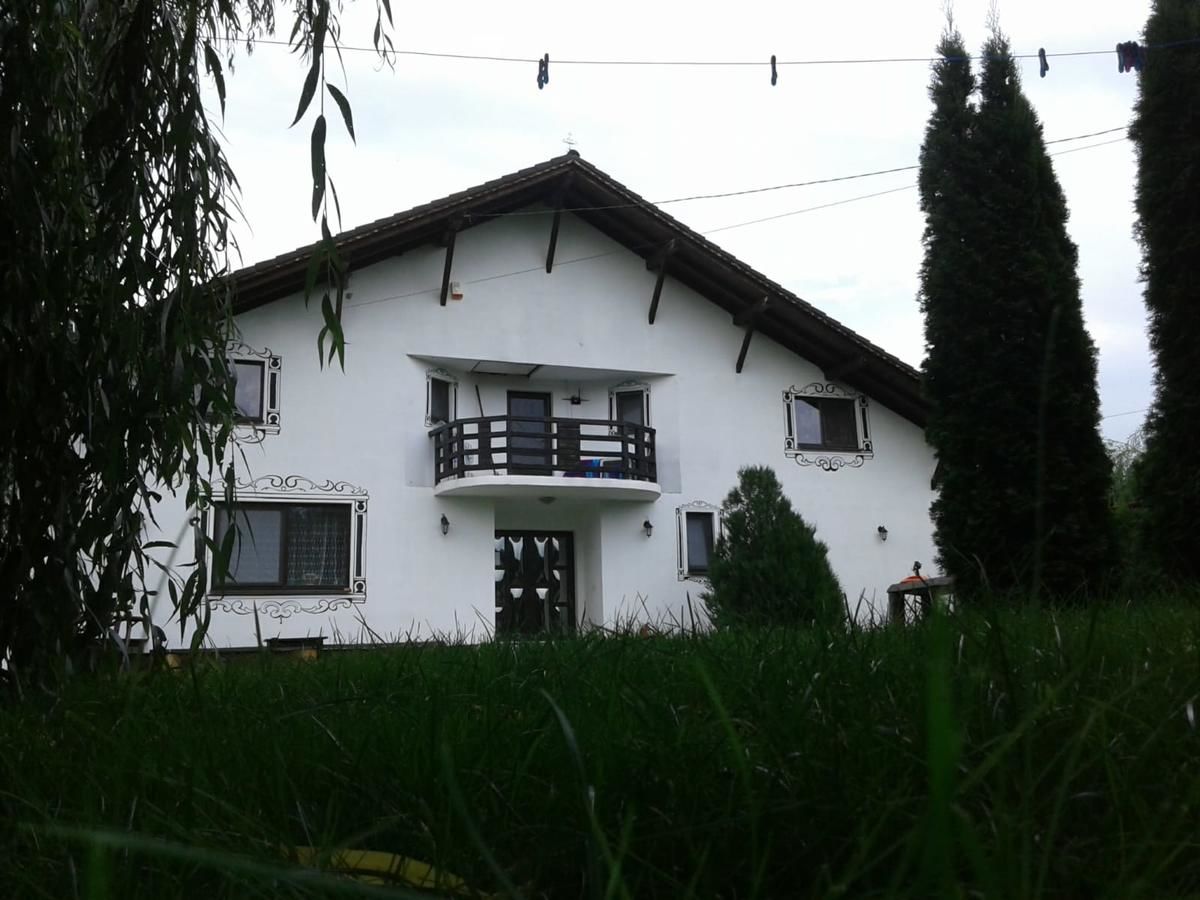 Гостевой дом Vila Maria Săsciori Sebeş Săsciori-30