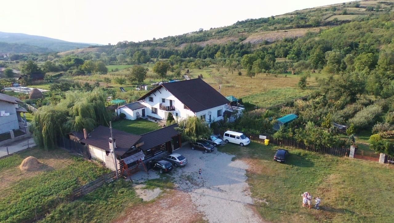 Гостевой дом Vila Maria Săsciori Sebeş Săsciori-34