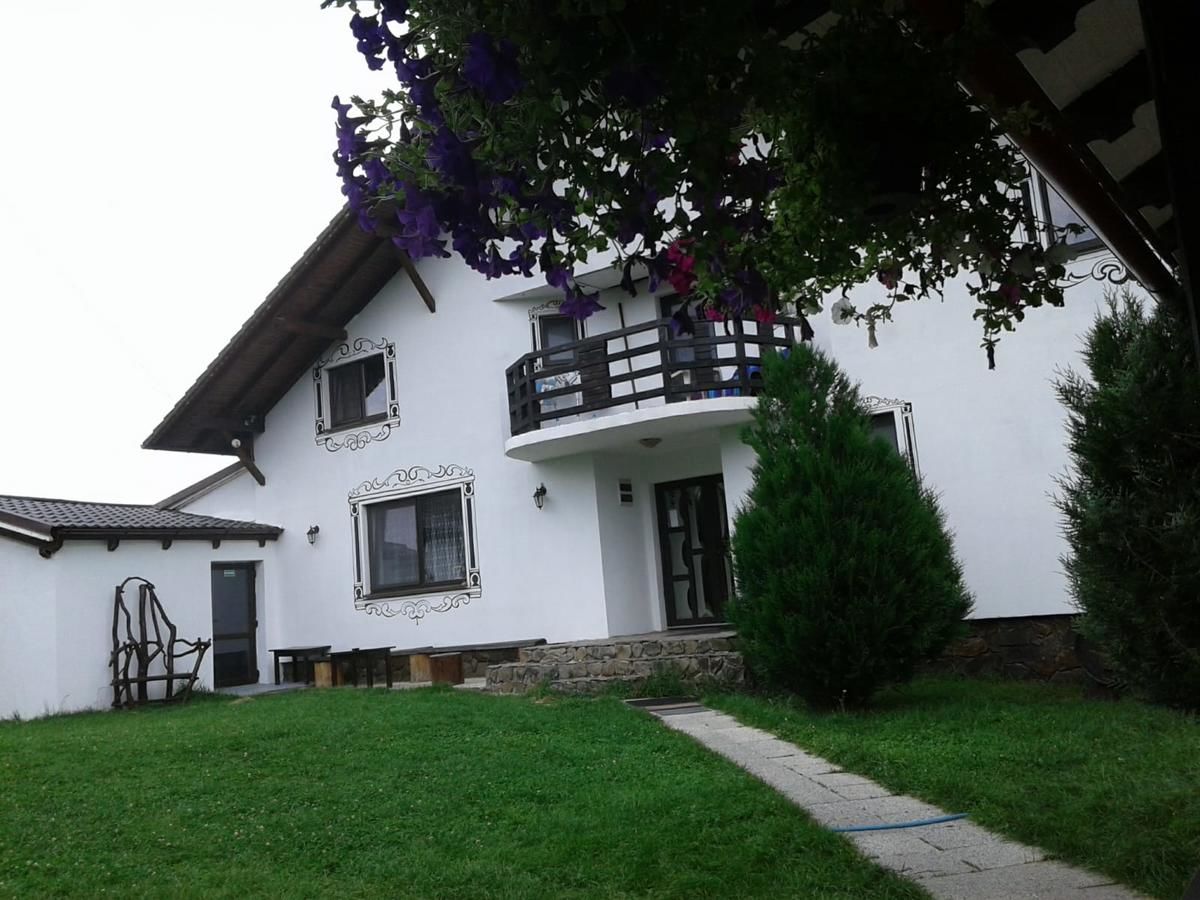 Гостевой дом Vila Maria Săsciori Sebeş Săsciori