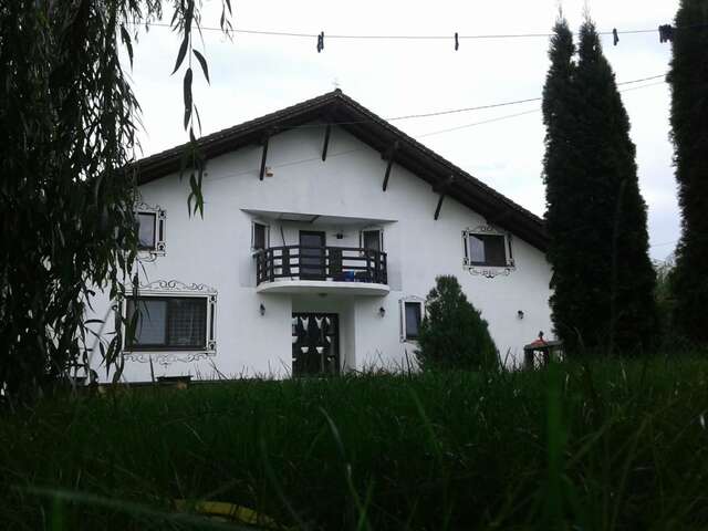 Гостевой дом Vila Maria Săsciori Sebeş Săsciori-29